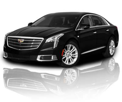 Sedan - Cadillac XTS